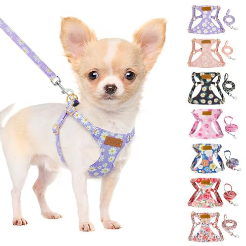 SlowTon Hundegeschirr mit Leine, No-Pull leichtes weiches Wildleder-Welpengeschirr mit Blumenmuster und Schnappschnalle, verstellbares Geschirr Hund für kleine und mittelgroße Hunde XXS
