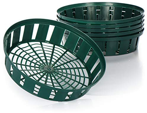 com-four® 6X Pflanzkörbe für Blumenzwiebeln, Anzucht-Pflanzschale zum Einpflanzen und Aufbewahren von Zwiebelpflanzen, großer grüner Zwiebelkorb (06x Pflanzschale - 31cm)