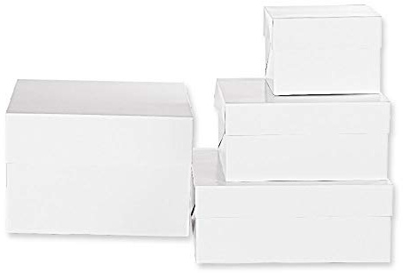Decora, 0339491 Tortenbox, Ideal zum Transportieren und Aufbewahren von dekorierten Torten, Einzeln verpackt, 40,5 x 40,5 x H 50 cm.