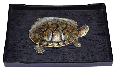 VILLCASE Und Schildkrötenfutter Und Wasserschale Große Futterschale Für Terrarien Unzerbrechlich Einfach Zu Reinigen Geeignet Für Futter Wasser Und Baden Schwarz Mittel