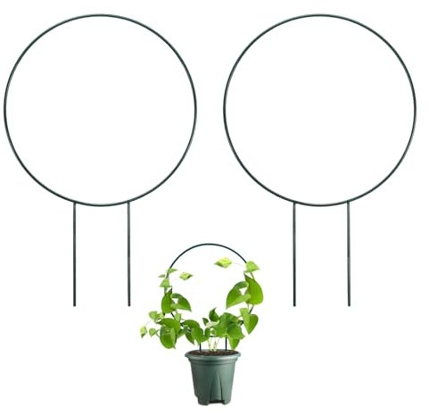 Huakaile 2 Pack Small Trellis for Potted Plants Climbing, 13.7 Outdoor Indoor Plant Trellis, Stackable Garden Plant Climber Support, Metal Houseplant Trelli Stakes for Vine Ivy Flowerpot (Round)