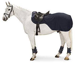 Eskadron Fliegen-Ausreitdecke Exercise Cooler in Navy oder balsamgreen