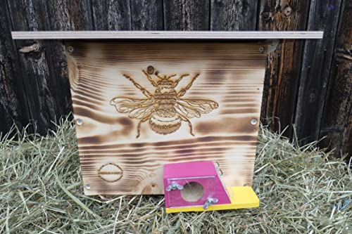 Hummelkasten mit Wachsmottensperre, Sichtfenster und Nistmaterial Wetterfest Bienenhaus Hummelhaus Nistkasten Hummelvilla Bienen Insektenhaus (Edel Geflammt)