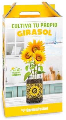 Kit Cultivo Girasol Interior en Original Tarro de Cristal Decorativo – Semillas, Sustrato y Drenaje – Regalo para Casa y Oficina