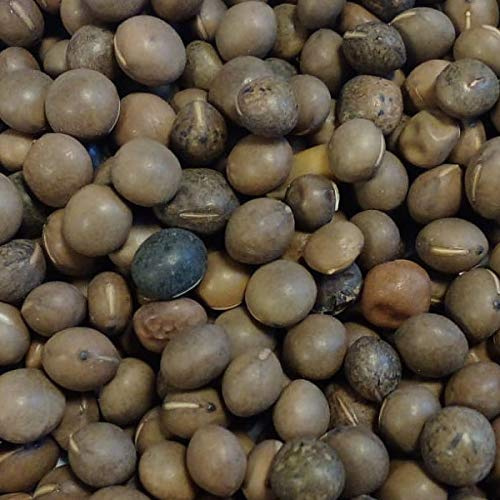 Eurital Wicken 5 kg für Tauben und Wildvögel