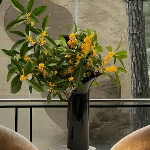 Semillas de laurel, árbol de laurel resistente, Laurus nobilis, Mini jardín, arbustos resistentes y con flores árbol de laurel Plantas exóticas resistentes, decoración de sala de 200pcs