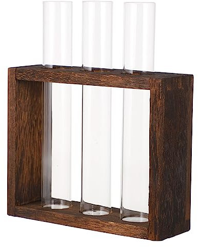 SEWOART 1 Satz Vase inneneinrichtung Interior deko einmachgläser genschenkideen wohnaccessoires Luftpflanze Reagenzglas Blumen Anlage für Hydroponik-Pflanzenterrarium Luftpflanzenterrarium