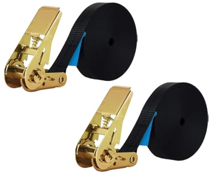 Abiyou 2 Pezzi Cinghie Di Fissaggio Con Cricchetto,Cinghia Di Ancoraggio Per Fissaggio Del Carico, Cinghia Fissaggio Portapacchi e Rimorchi, Cinghie Di Carico Regolabili Per Kayak, Moto(8m x 25mm)