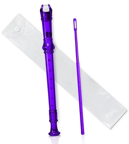 skola blockflöjt Flerfärgad 8-håls Lång Flöjtinstrument För Nybörjare Musikalisk Sopran-plastblockflöjt (Color : Purple)