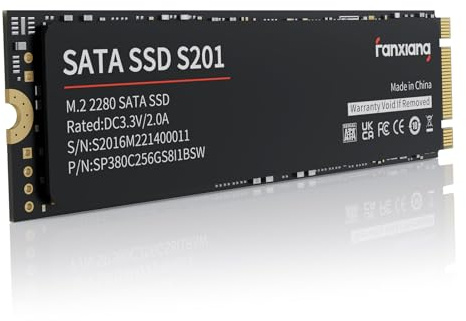 fanxiang S201 SSD M.2 SATA 128Go, M2 2280 SATA III 6 Go/s, Jusqu'à 550 Mo/s Lecture, 420 Mo/s Écriture, Cache SLC, 3D NAND, Disque Dur Interne Compatible PC Portable & Desktop (M.2 SATA, 128GB)