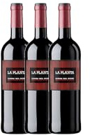 La Planta vino tinto premium selección gourmet – 3 Botellas x 75 cl