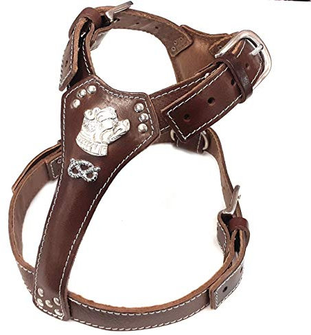 Hermoso arnés de cuero marrón chocolate para perro con diseño de cabeza y nudo de Staffordshire Bullterrier
