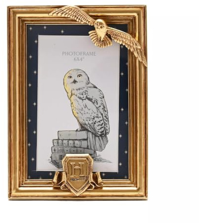 Widdop and Co Warner Bros. Harry Potter Alumni Goldener Bilderrahmen Hedwig