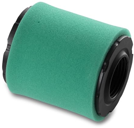MAXPOWER Filtro e prefiltro dell'Aria Adatto per Briggs&Stratton - Numero di Riferimento 5429K, 591383, 591583, 796033