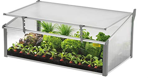 Juwel Komfort Doppel-Frühbeet Easy-Fix 100/60 (Pflanzenbeet aus wärmeisolierenden Hohlkammerplatten, Gewächshaus zur Aufzucht von Pflanzen, mit Fenster-Fixierung, Größe 100x60 cm) 20225