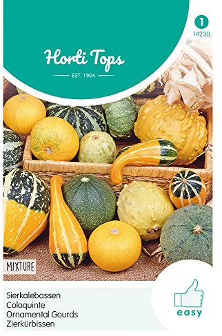 Hortitops 14230 Mezcla de calabaza ornamental (semillas de calabaza decorativa)