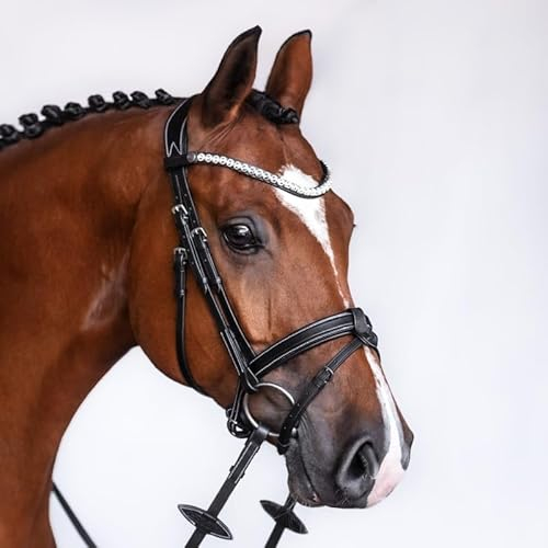 BRIDLERY Trense Hunter Beschläge Silber, Farbe Schwarz, Größe Individuelle Größe