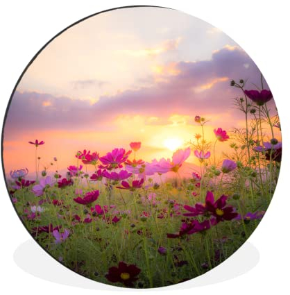 MuchoWow Wandbild Rund Wanddeko Deko Wohnzimmer Bilder 60x60 cm Blumen - Rosa - Sonnenuntergang - Natur - Wiese - Horizont