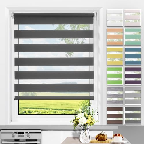 Allesin Doppelrollo Klemmfix ohne Bohren & mit Bohren, Duo Rollos für Fenster und Tür, Klemmrollo Fensterrollo lichtdurchlässig Sichtschutz, B65 x H200cm (Stoffbreite 65cm) Anthrazit