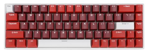 CFTGIW 60% Tastiera Meccanica 68 Tasti RGB Tipo di Retroilluminazione C Tastiera da Gioco Cablata Portatile con Interruttore Rosso per Computer con Porta Meccanica USB Adotta il Tasto 60 Percento