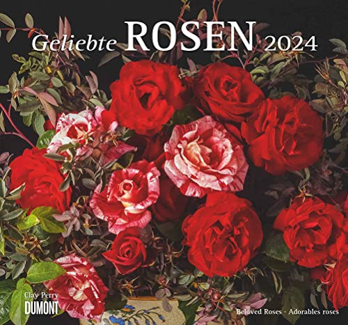 DUMONT Geliebte Rosen Wandkalender 2024, im Format 38,0 x 35,5 cm, Monatskalender, Blumenkalender für Rosenliebhaber