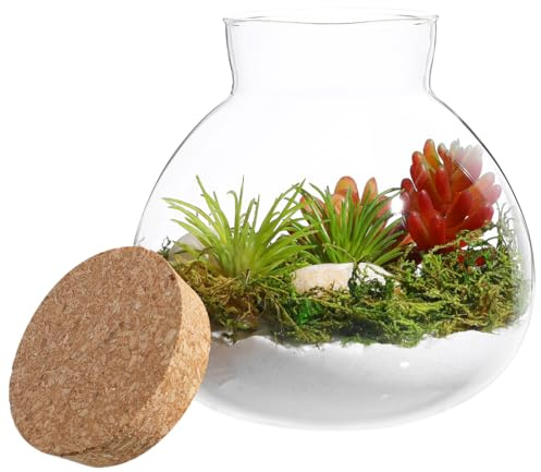 DOITOOL Pot rond en verre pour terrarium, plantes succulentes, bourgeons, vase à vœux, bouteille avec couvercle en liège, pot à bonbons, pot en verre pour fougère, mousse, plantes succulentes