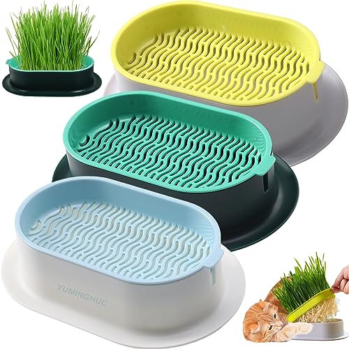 YUMINGUHC 3Pcs Hydroponic Cat Grass Planter Catnip Wheatgrass Seed Sprout Tray Cat Grass Growing Kit (No Seeds Included) Nursery Plant Planting Box for Indoor, Soilless (K)