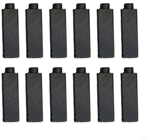 HEIBTENY 12 escobillas de carbón 4 x 5,5 x 17 mm escobillas de carbón motor de anclaje secador de pelo eléctrico set general