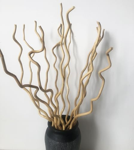 DongArts 58 cm Getrocknete Weidenzweige, 15 Stämme Getrocknete Zweige Holzstöcke, Natürliche getrocknete Pflanzen Dekorative Zweige für Weihnachten Rustikale Heimdeko (Beige)