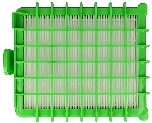 vhbw Filtre compatible avec Rowenta RO384111/410, RO384511/410, RO385301/410 aspirateur - Filtre HEPA contre les allergies