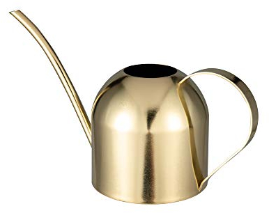IMEEA 900ML Edelstahl Gießkanne, Zimmergiesskannen Moderner Blumengießkanne mit Langer Auslauf für Pflanzen Zimmerpflanze (Gold)