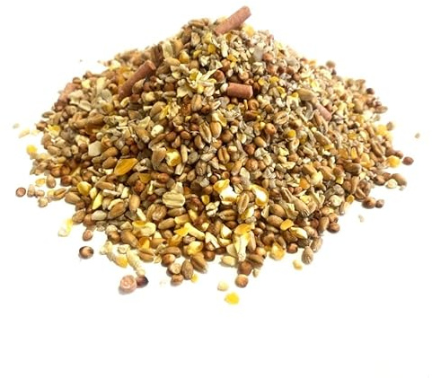 Maltbys' Stores 15kg No Grow No Waste Wild Bird Food | Premium Mixed Seeds and Suet Pellets for Wild Bird Feeding