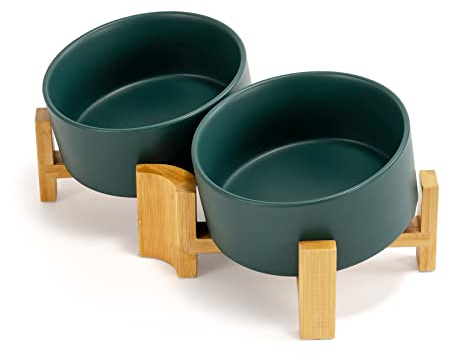 SPUNKYJUNKY Ciotola Inclinabile 15° in Ceramica per Cani e Gatti con Supporto in Legno Ciotola per Cibo e Acqua Antiscivolo per Cani e Gatti con Facce Piatte di Taglia Piccola e Media 850ml Verde × 2