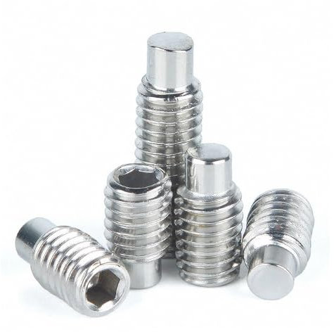 VAYEODEYU Vite di Arresto, Vite di Arresto a brugola 5/10/50pz M2.5 M3 M4 M5 M6 M8 304 A2 Acciaio Inox Testa Esagonale Esagono Incassato Convesso Bullone Punta Cane Vite di Fissaggio(10mm,M5 50pcs)
