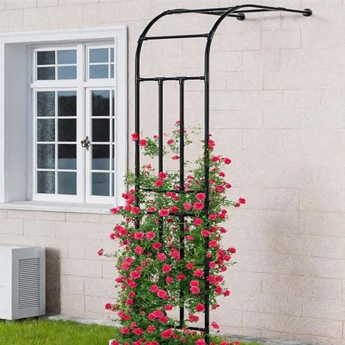 Arche Demi-latérale à rosiers Arche de Jardin de Acier Arceau de Treillis pour Tonnelle Jardin 120 150 180 220 240 260 300cm Largeur Arche Support de vignes Plante Grimpante(60x240cm)