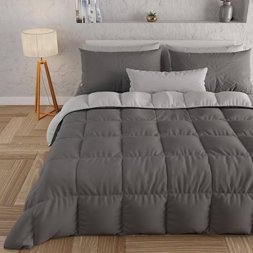 PETTI Artigiani Italiani - Couette Chaude Hiver 160x260 Bicolore Gris ClairGris Foncé, Double Face, Couette pour lit 1 Personnes, en Microfibre 300g/m², Made in Italy