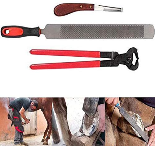 ZH-VBC Farrier - Set de Herramientas para Herradura de Caballos, Pezuña Juego 3pcs Recorte Herramienta Profesional Ergonómicos Mango Escofina Limpieza Fuerza Herraduras Accesorios