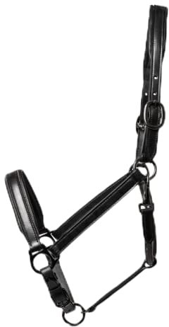 CATAGO Premium Serie Premium Lederhalfter Cob – Schwarz, Cob