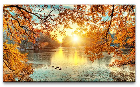 Paul Sinus Art Bilder XXL schöne Bunte Bäume 120x70cm Wandbild auf Leinwand