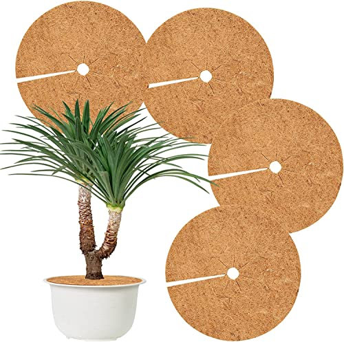 Hydrogarden 4 Stück Kokos Mulchscheibe,Ø60cm Winterschutz Kokos,Kokosscheibe,Winterschutz für Kübelpflanzen,Kokos Pflanzenschutz,Kübelabdeckung Frostschutz,Frostschutz Kälteschutz für Pflanzen