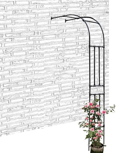 LIYI929GP ArcoDe Rosas Trepadoras, 2.4m ArcoPara Rosas, Enrejado De Jardín Metal Arcos para Enredaderas Semiarco, Archway para Rosales Y Enredaderas, para Interior Exterior Jardín Césped Boda