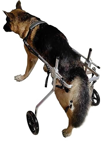 husdjursvagn， Stora/medelstora hundvagnar med rullstolar, 2 hjul assisterad gåstol for förlamade bakben, aluminiumhjälpmedel for mobilitetsvagnar - 5 storlekar som tillval(Size XL)