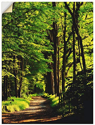 ARTland Wanddeko Wandtattoo selbstklebende Vinylfolie 60x80 cm Wald Natur Landschaft Bäume Sonne Frühling Weg T1UC