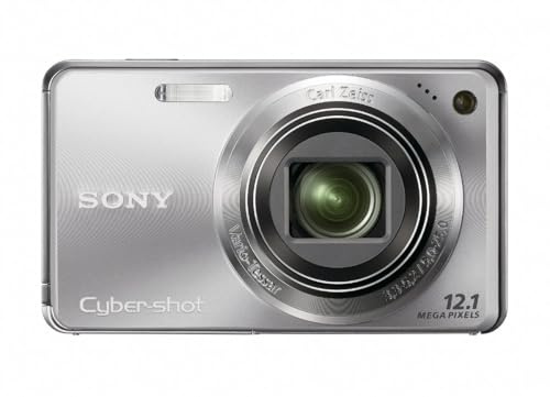 Sony Cyber-shot DSC-W290 Digital Camera 12.1 Megapixel with 5x Optical Zoom and Super Steady Shot Image Stabilization 3.0-Inch LCD Silver (Renewed)