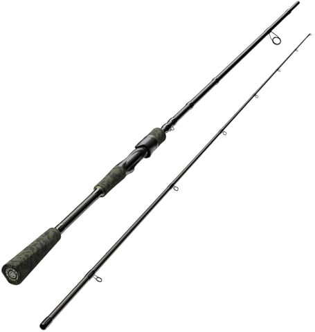 Sportex Illusion 2,45m 31-107g BC Baitcastrute