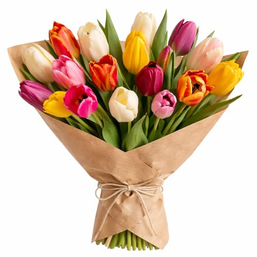 Mixed Colour Tulip Bouquet Fresh Cut Seasonal Summer Bloom Profusion With Chocolate or Balloon