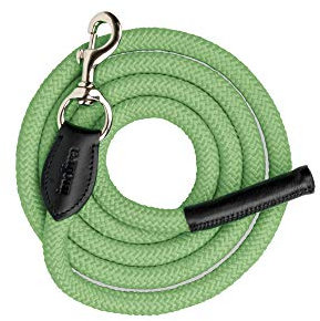 indira Führ-Strick pro PP-Strick-Leder Karabiner (2 m, Grün 01)