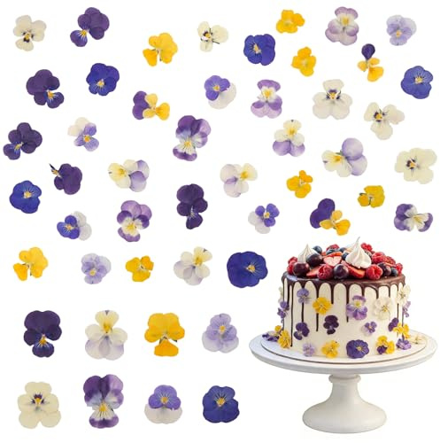 Cisolen Fiori decorativi di violetta essiccati naturalmente, 40 pezzi 8 tipi Fiori commestibili per cocktail Artigianato fai da te Decorazione per cupcake e torte Produzione di candele