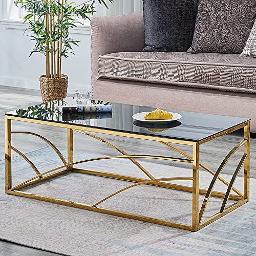 AINPECCA Stainless Steel Rectangular Glass Coffee Table Tea Table for Living Room- 120CM Modern Sleek Accent Center Table Lounge Table with Black Grey Tempered Glass(Gold)