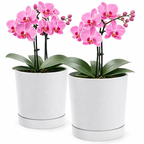 PECZEKO Blomkruka matta, planteringskruka av ytterkruka plast dekorativ kruka för, stora och små växter, set om 2 blomkrukor, blomkruka örtkruka (2-pack) vit, ø 20 cm